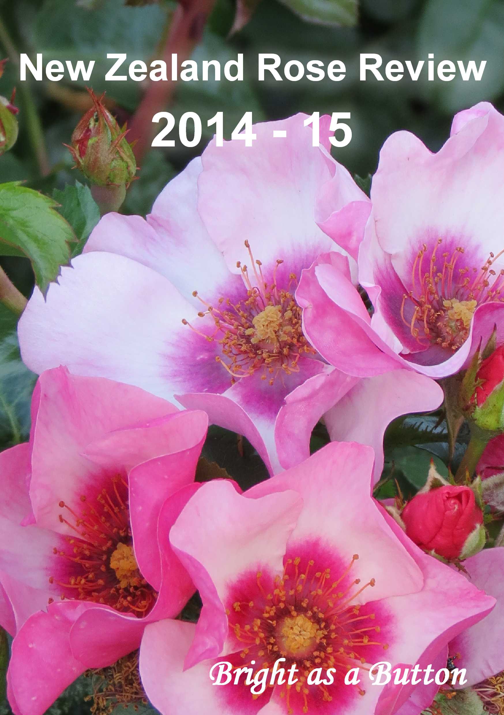  - Rose-Review-2014-15-cover