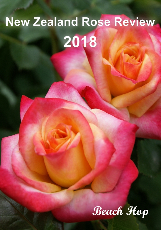 2018 New Zealand Rose Review - The New Zealand Rose Society