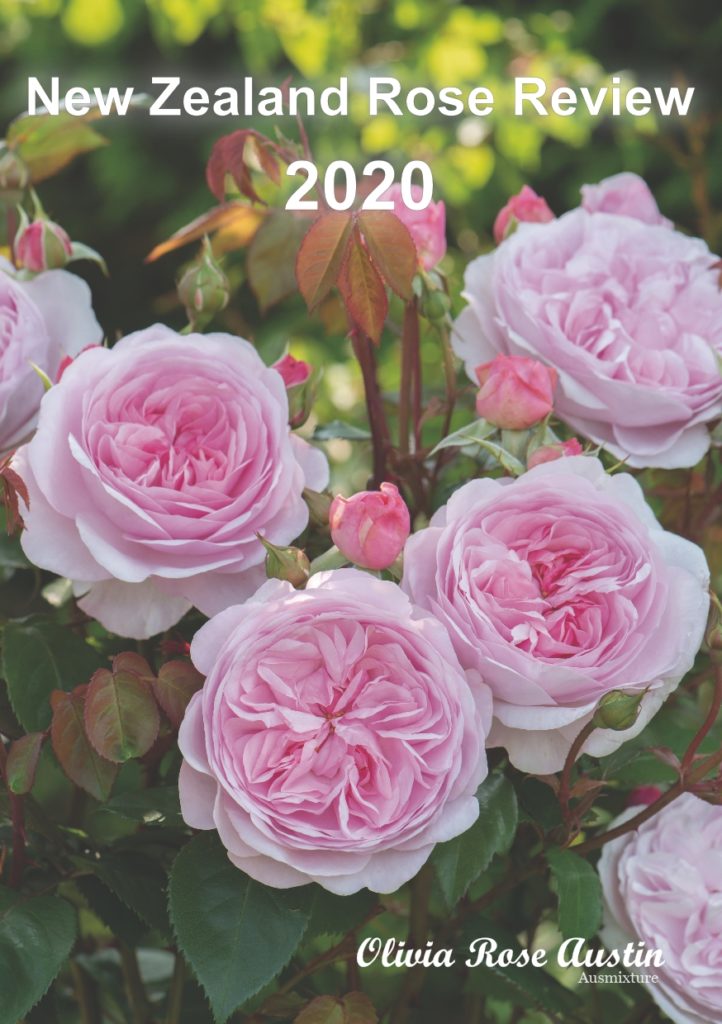 New Zealand Rose Review The New Zealand Rose Society